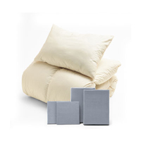 ふわふわ羽毛布団とカバーの6点セット ライトグレー SLF-01(LGR)