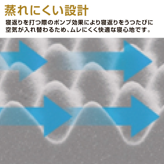 西川　点でささえる良圧丸巻き布団  