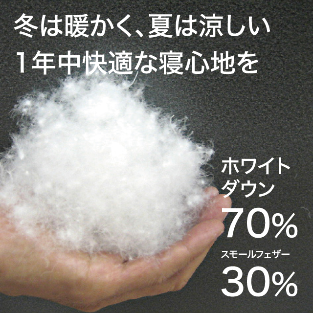 ふわふわ羽毛布団とカバーの6点セット　キャメル キャメル SLF-01(Ca)